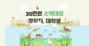 소액대출 어플 30만원