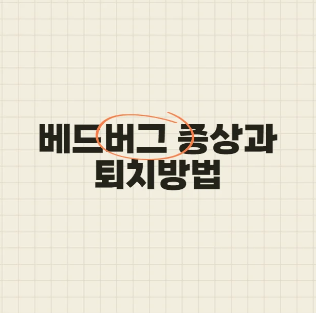 베드버그 증상과 퇴치방법