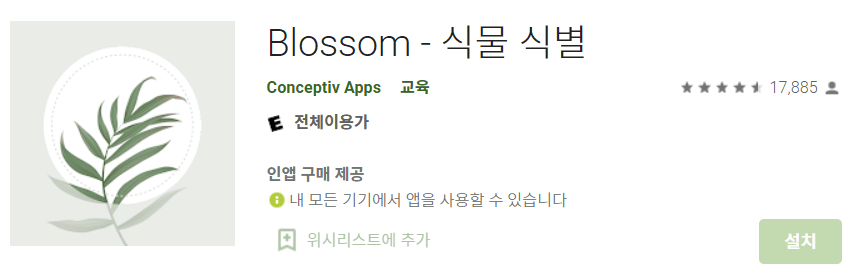 Blossom