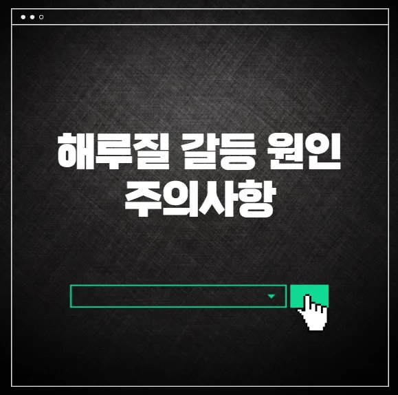 해루질 갈등 원인 주의사항