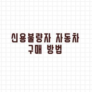 신용불량자 자동차 구매