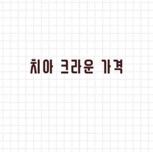 치아 크라운 가격