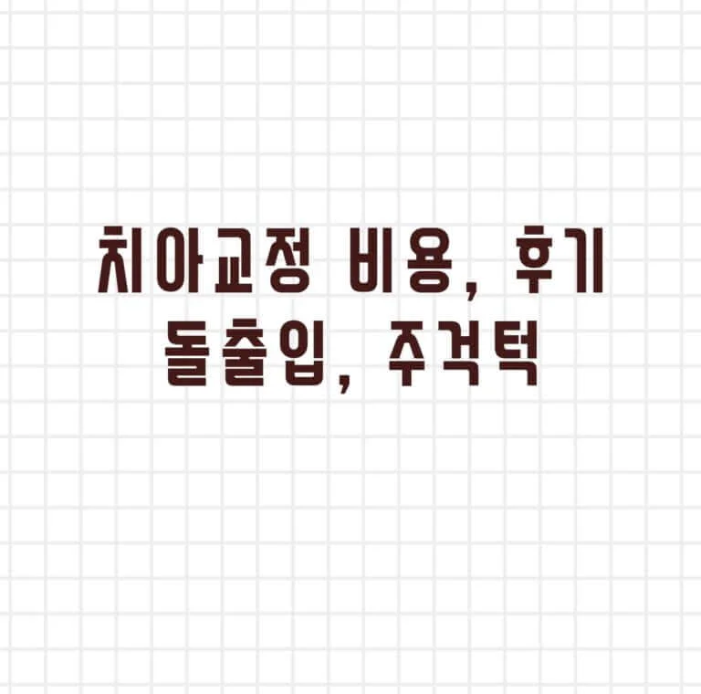 치아교정 비용