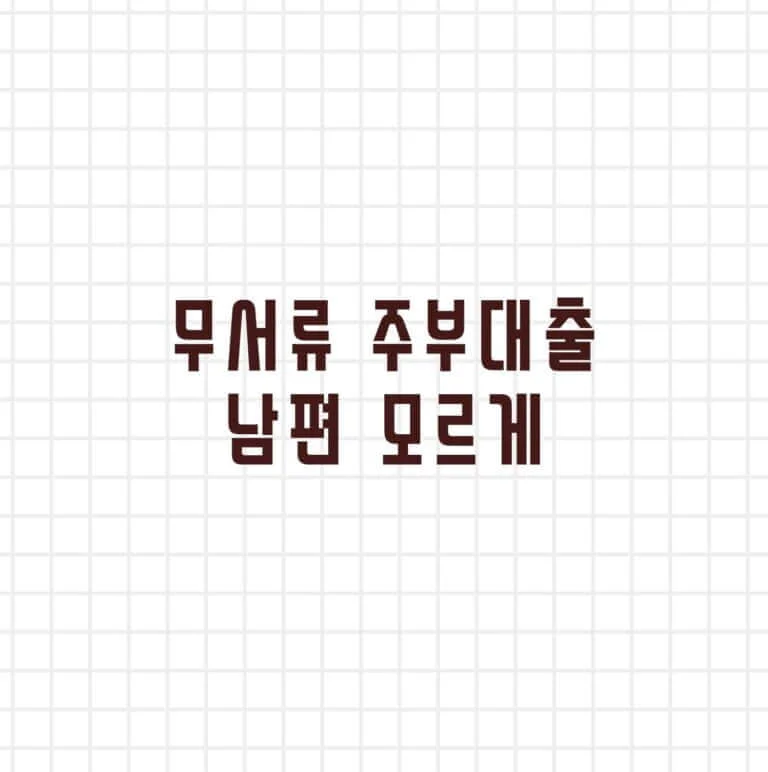 무서류 주부대출 남편 모르게