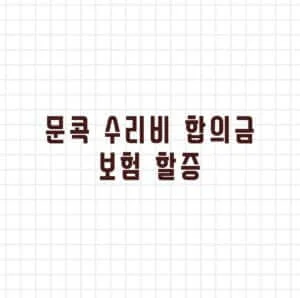 문콕 수리비 합의금 보험 할증