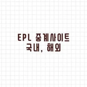 EPL 중계사이트 국내 해외