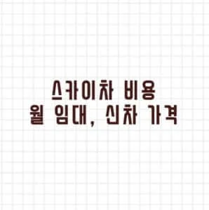 스카이차 비용 월 임대 신차 가격