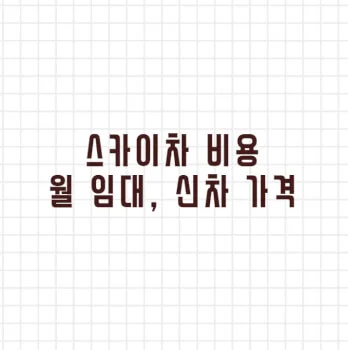 스카이차 비용 월 임대 신차 가격