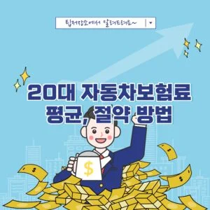 20대 자동차보험료 평균, 절약 방법