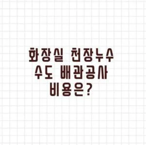 화장실 천장누수 수도 배관공사 비용은? 