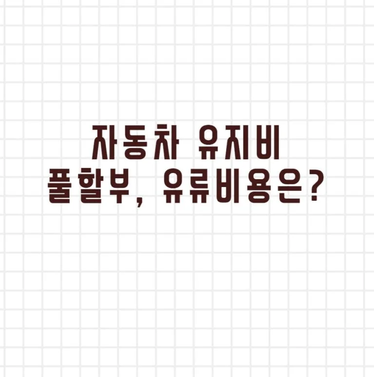 자동차 유지비 풀할부 유지비용