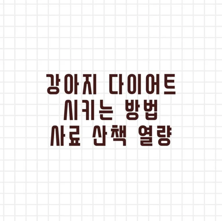 강아지 다이어트 시키는 방법 사료 산책 열량