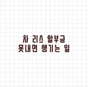 차 리스 할부금 못내면?