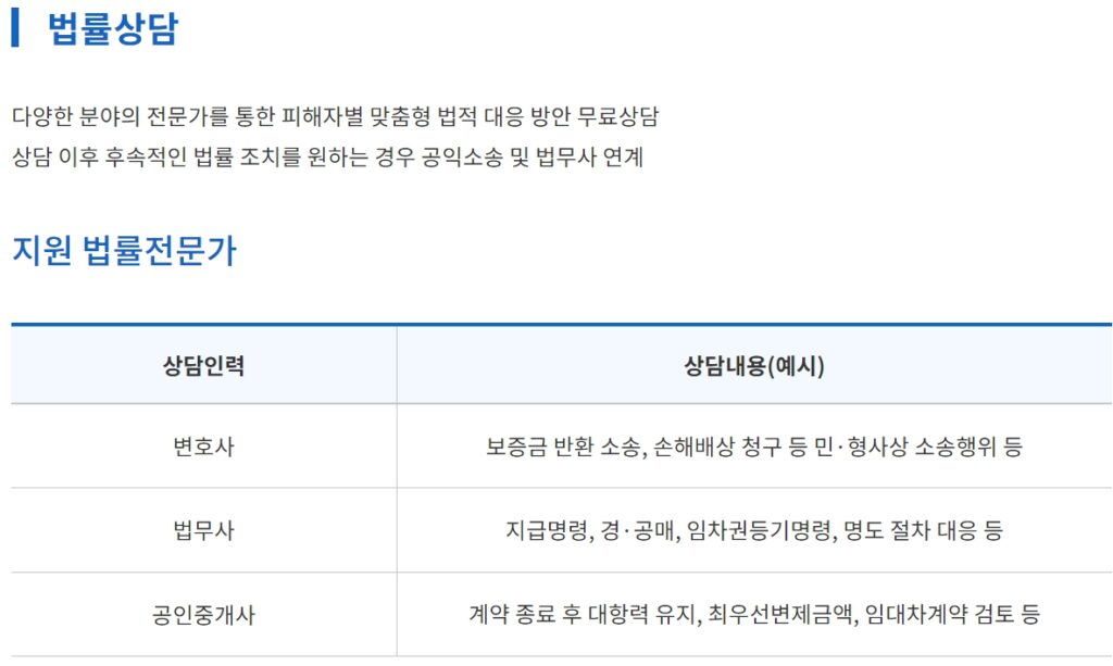 전세사기 피해자 지원