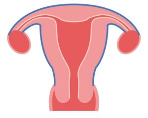 자궁수술 종류 비용은??