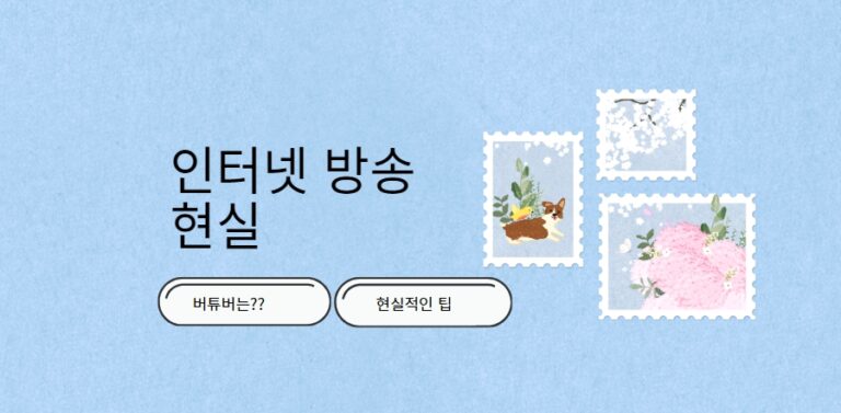 인터넷 방송 현실